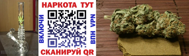 Где найти наркотики Снежногорск МАРИХУАНА  МЕТАМФЕТАМИН  Гашиш  Меф мяу мяу 