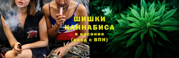 прущие грибы Арсеньев