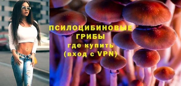 прущие грибы Арсеньев
