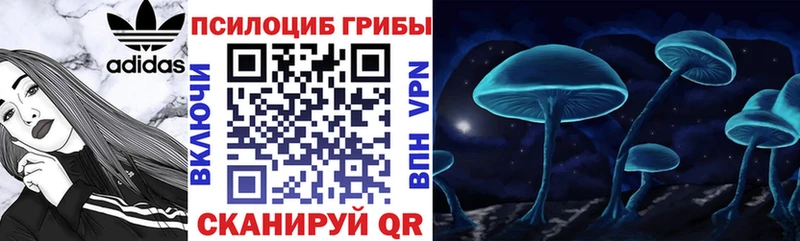 Галлюциногенные грибы MAGIC MUSHROOMS  Снежногорск 